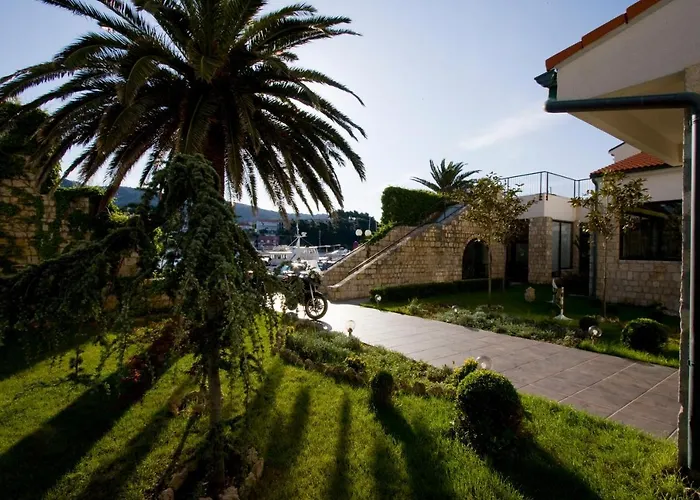 International Hotel 3*