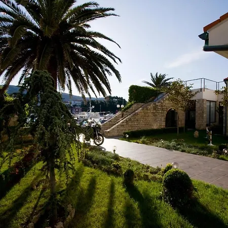 International Hotel 3*