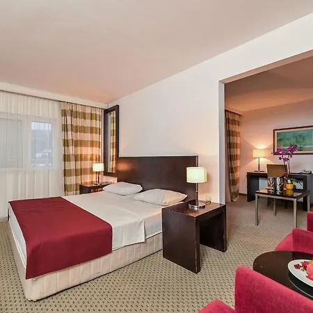 Hotel International