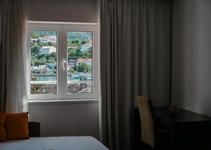 International Ραμπ